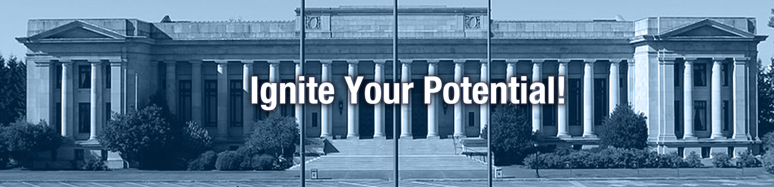 Ignite Your Potential!